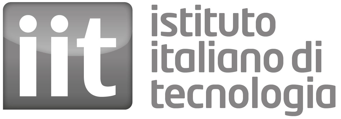 Logo FONDAZIONE ISTITUTO ITALIANO DI TECNOLOGIA