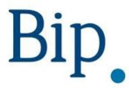 Logo Business Integration Partners