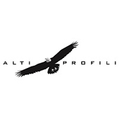 Logo ALTI PROFILI