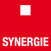 Synergie Italia Agenzia per il Lavoro S.p.a. 